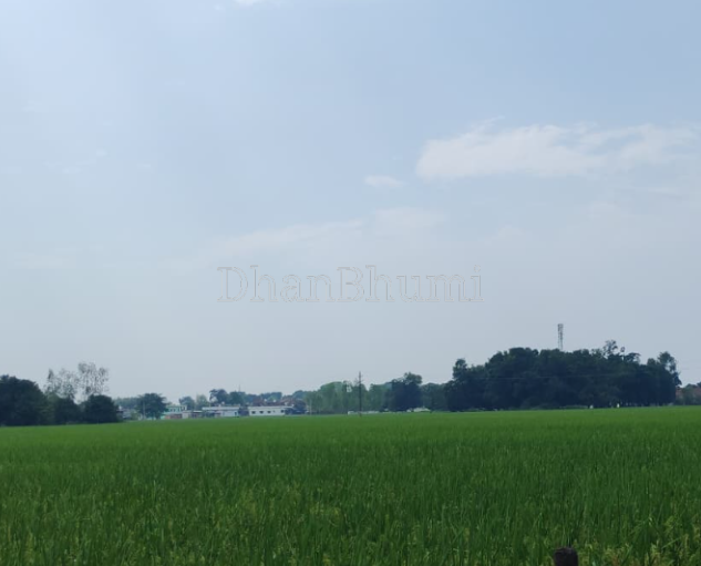 property_images/agricultural_in_sitapur_1789975397_6ab0db658cdb0.png