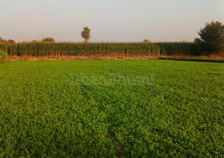 property_images/agricultural_in_sitapur_1790073571_6ab25ae37b93b.png