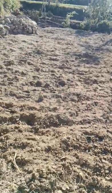 property_images/agricultural_in_solan_1782464663_6a3e409781898.jpg