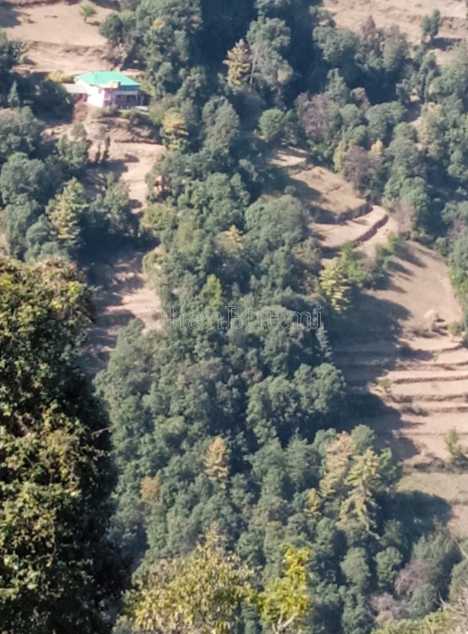property_images/agricultural_in_solan_1789644476_6aabcebc6864c.PNG