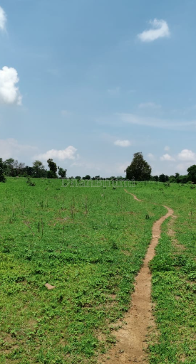 property_images/agricultural_in_sonbhadra_1781241597_6a2b96fdcab8f.PNG