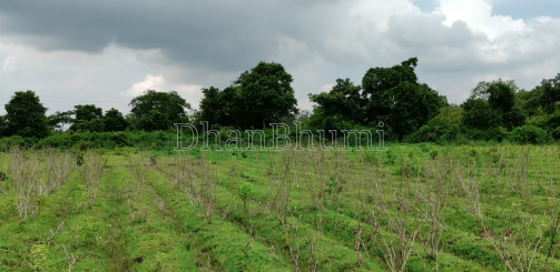 property_images/agricultural_in_sonbhadra_1781241597_6a2b96fde9d57.PNG