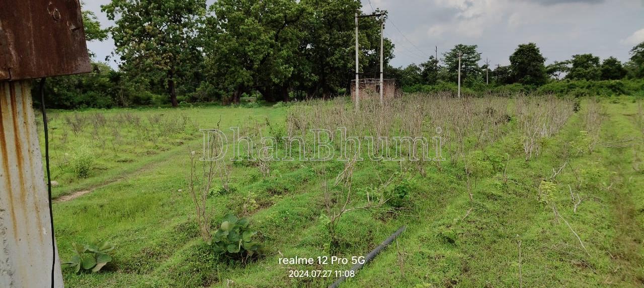 property_images/agricultural_in_sonbhadra_1787204731_6a86947bd136c.jpeg