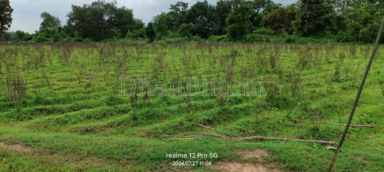 property_images/agricultural_in_sonbhadra_1787204732_6a86947c0b896.jpeg