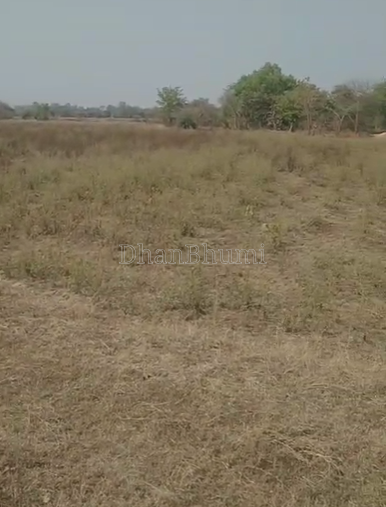property_images/agricultural_in_sonepur_1778842103_6a06f9f7c980b.png