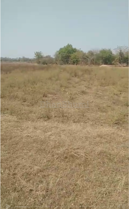 property_images/agricultural_in_sonepur_1778842103_6a06f9f7e8fb7.png