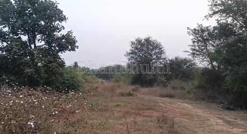 property_images/agricultural_in_sonepur_1778842546_6a06fbb20df4a.png