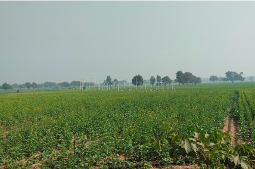 property_images/agricultural_in_sonipat_1781759926_6a337fb60c706.PNG