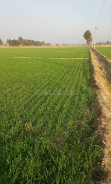 property_images/agricultural_in_sonipat_1789194505_6aa4f1095a68c.PNG