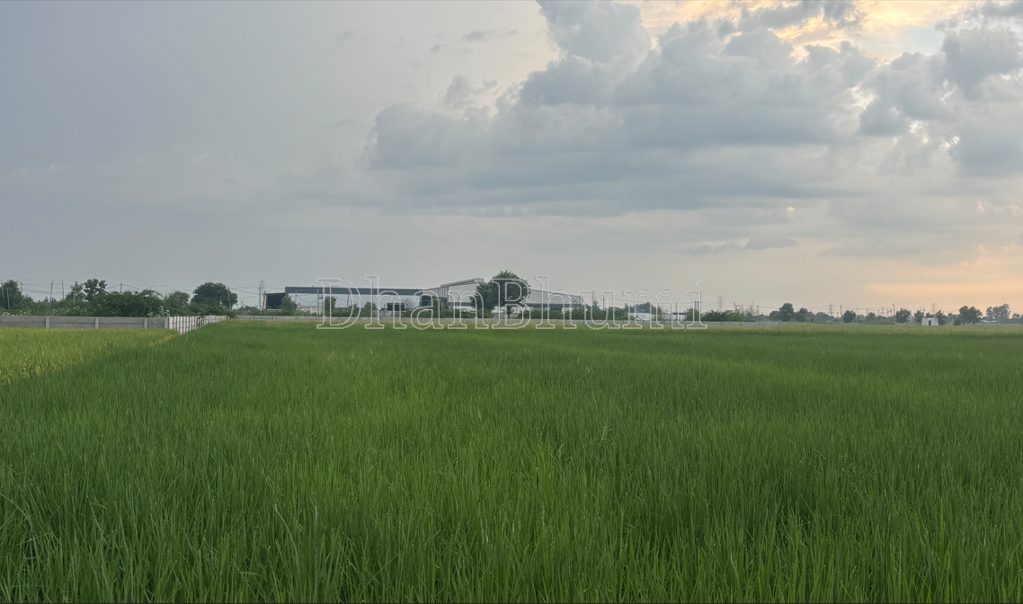 property_images/agricultural_in_sonipat_1791195125_6ac377f5dd905.PNG