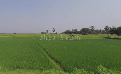 featured_img