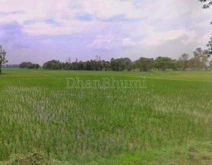 featured_img