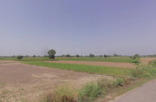 property_images/agricultural_in_south_24_parganas_1792564864_6ad85e80b52e3.PNG