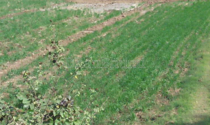 property_images/agricultural_in_sri_ganganagar_1787294906_6a87f4ba04c99.png