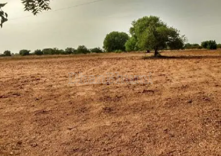 property_images/agricultural_in_sri_ganganagar_1787295379_6a87f69337a57.png