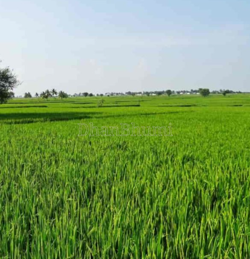 property_images/agricultural_in_sri_ganganagar_1787295582_6a87f75eb4635.png