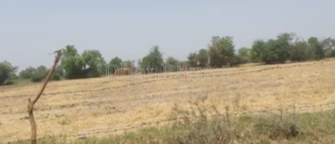 property_images/agricultural_in_sri_ganganagar_1787295784_6a87f828eda40.png
