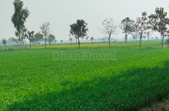 property_images/agricultural_in_sukma_1785909508_6a72d104e7124.png
