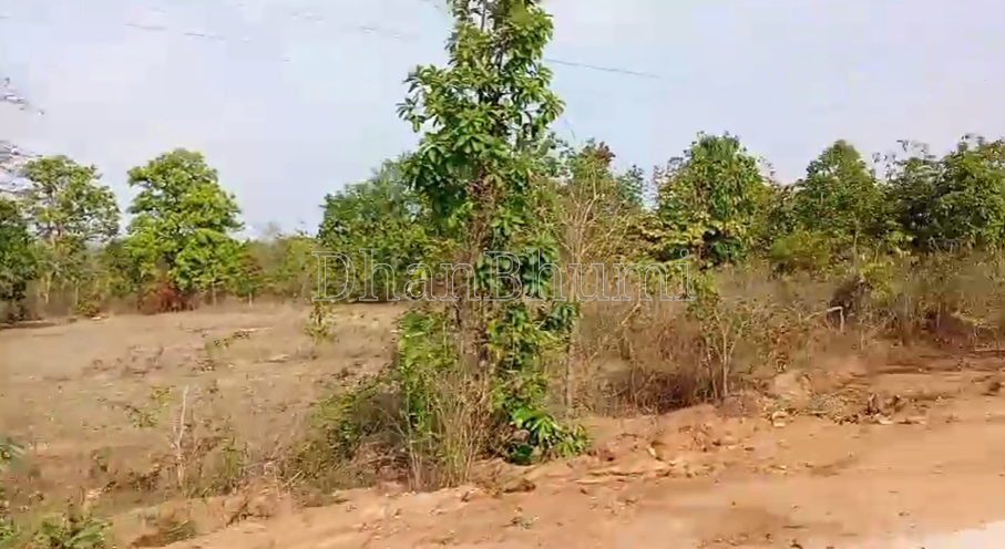 property_images/agricultural_in_sukma_1785910463_6a72d4bfeb27a.png