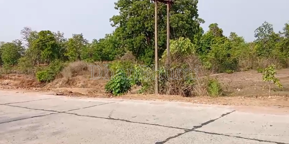 property_images/agricultural_in_sukma_1785910464_6a72d4c071947.png