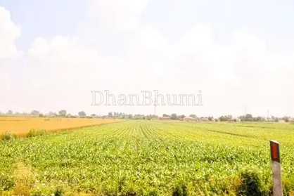 property_images/agricultural_in_sultanpur_1787657183_6a8d7bdf44660.png