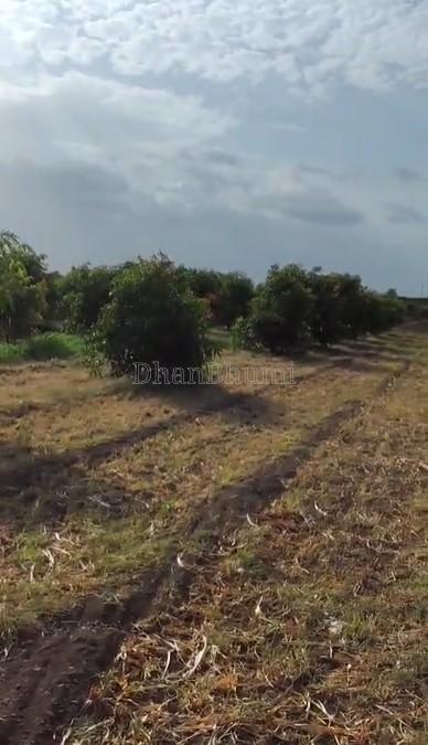 property_images/agricultural_in_surat_1782383137_6a3d0221786d9.jpg