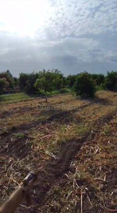 property_images/agricultural_in_surat_1782383137_6a3d022185514.jpg