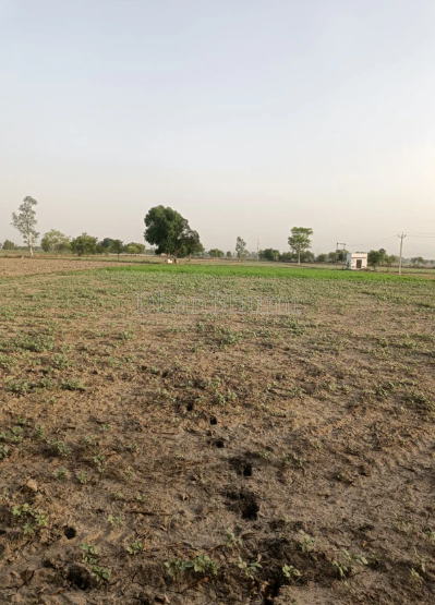 property_images/agricultural_in_surat_1786101996_6a75c0eca4ffb.PNG