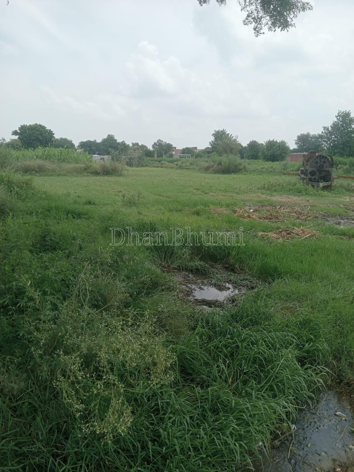 property_images/agricultural_in_surat_1788170146_6a954fa20eae8.jpeg