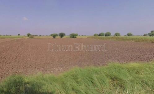 property_images/agricultural_in_surendranagar_1782111281_6a38dc314a787.jpg