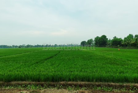 property_images/agricultural_in_surendranagar_1786426606_6a7ab4ee15fae.png
