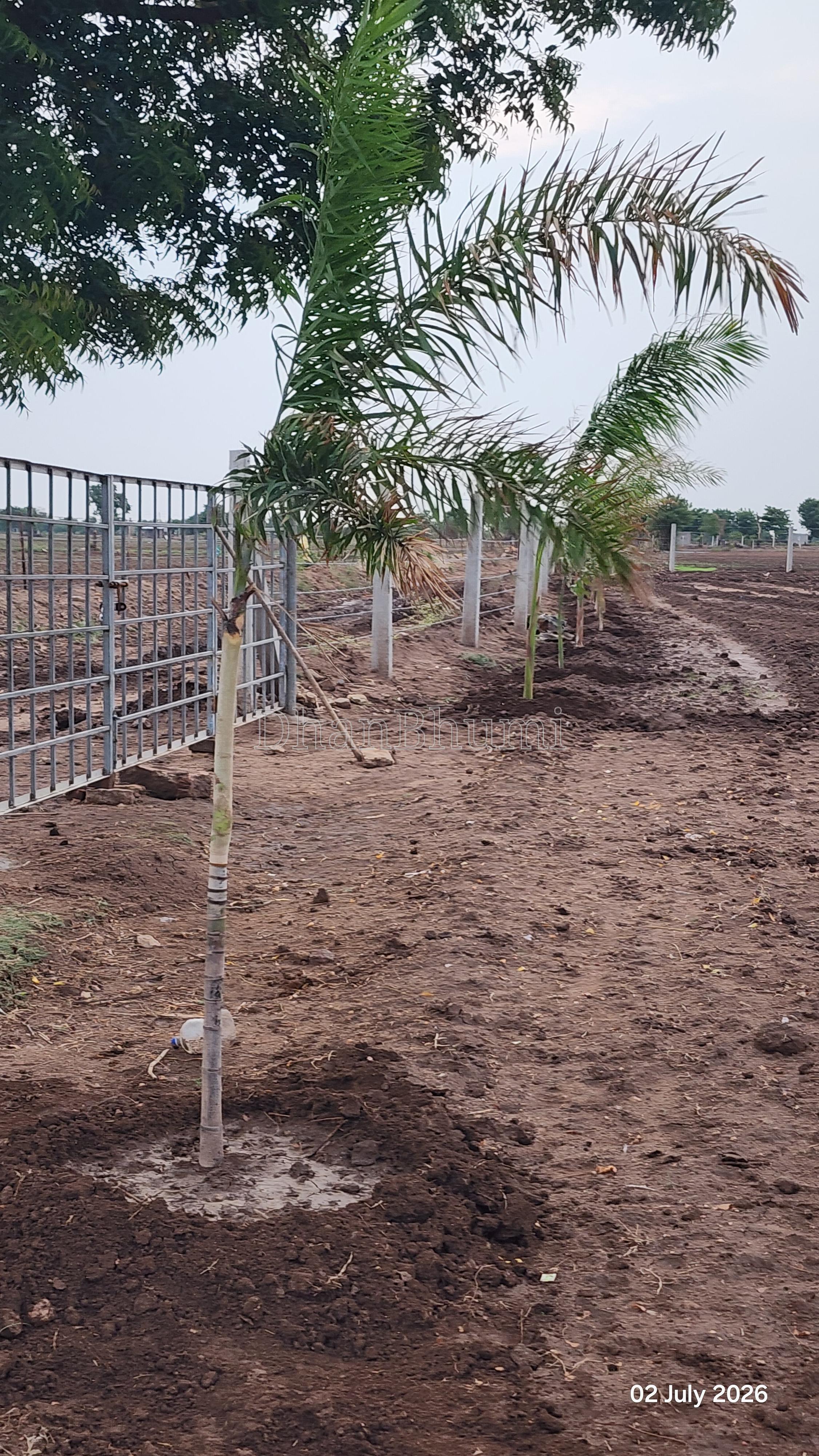 property_images/agricultural_in_surendranagar_1788854221_6a9fbfcd9d623.jpg