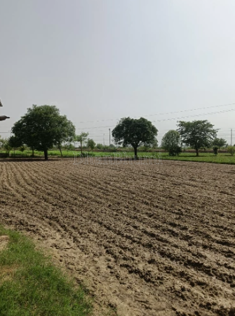 property_images/agricultural_in_surendranagar_1790317881_6ab6153983164.png