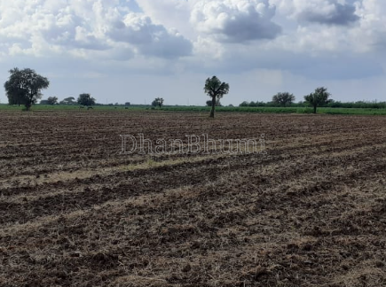 property_images/agricultural_in_surendranagar_1791886932_6ace06543b4ad.png