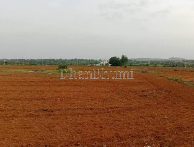 property_images/agricultural_in_thane_1788865687_6a9fec97c388c.png
