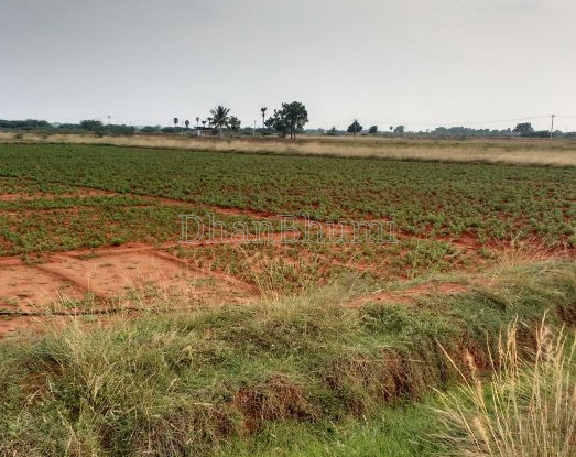 property_images/agricultural_in_thane_1792576235_6ad88aebd6acf.png