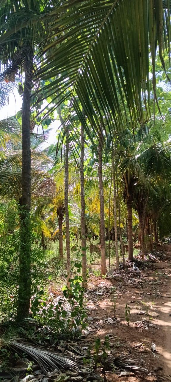 property_images/agricultural_in_tiruchirappalli_1788600744_6a9be1a887176.jpeg