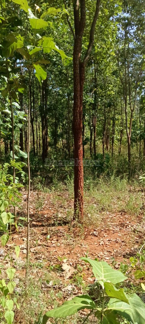 property_images/agricultural_in_tiruchirappalli_1788600744_6a9be1a8961a2.jpeg