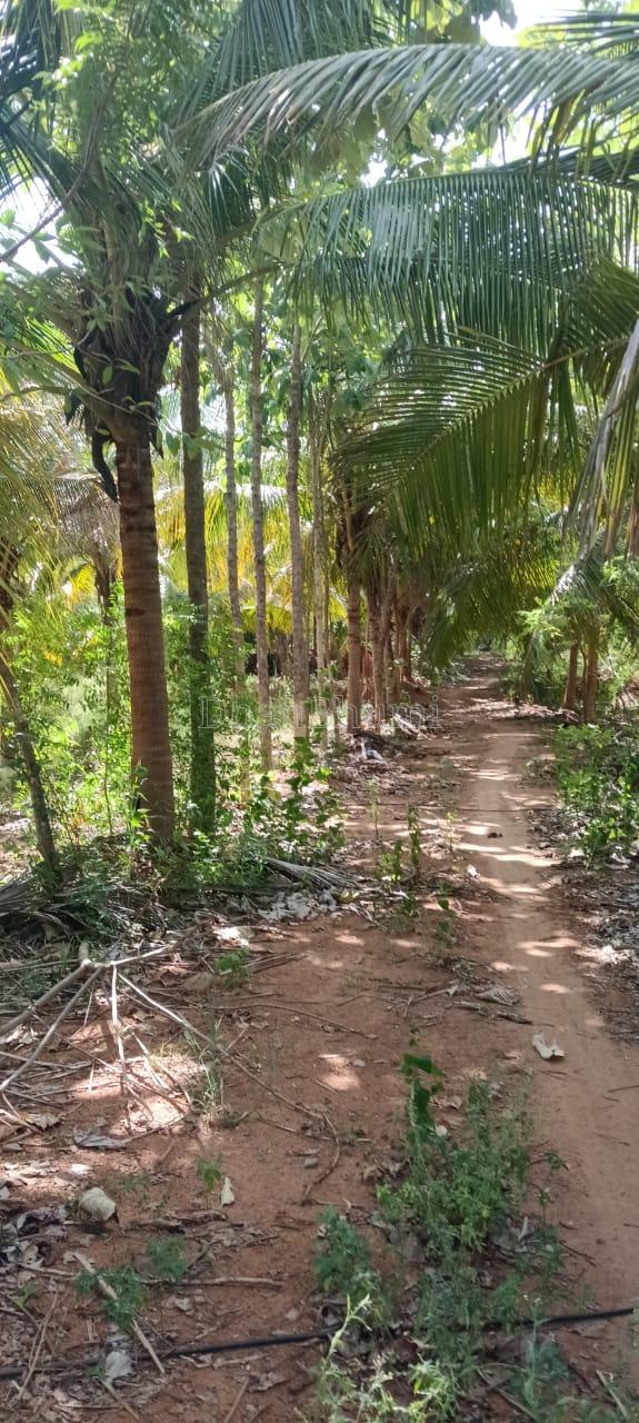 property_images/agricultural_in_tiruchirappalli_1788600744_6a9be1a89f437.jpeg