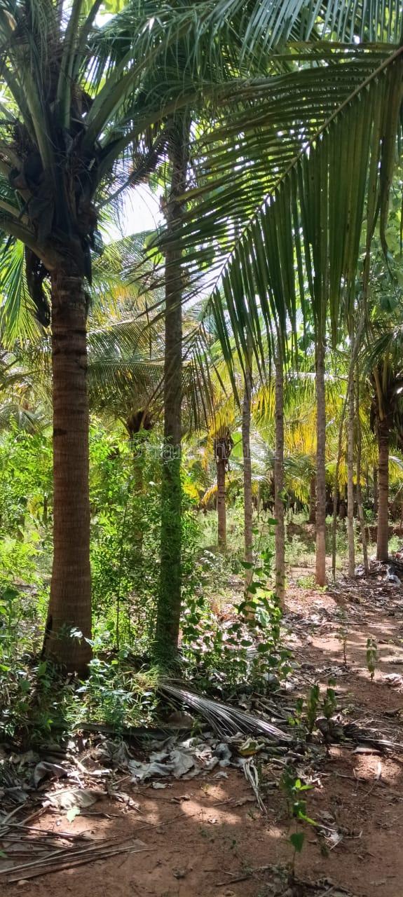 property_images/agricultural_in_tiruchirappalli_1788600744_6a9be1a8a892b.jpeg