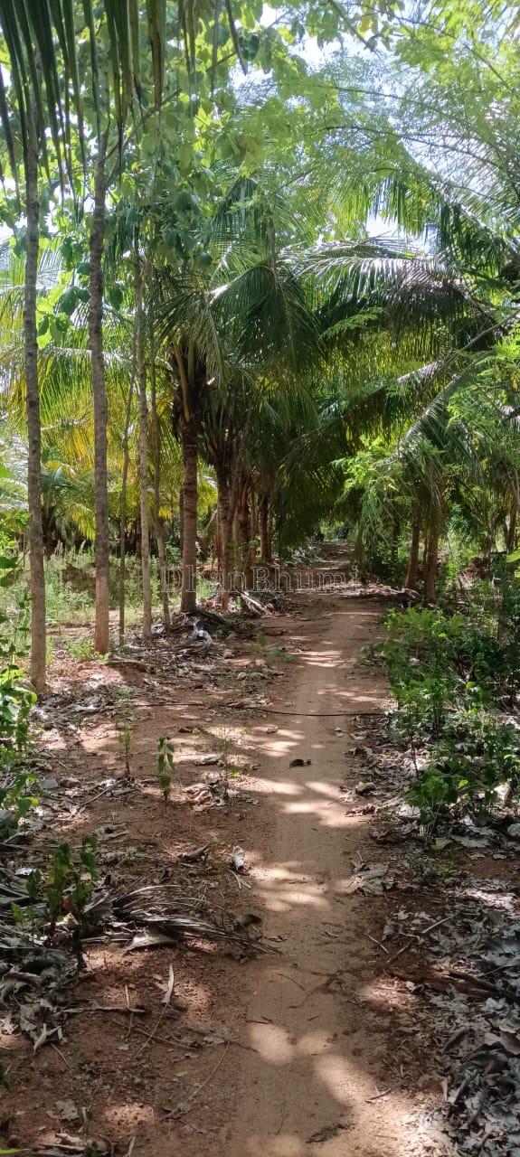 property_images/agricultural_in_tiruchirappalli_1788600744_6a9be1a8b1fd5.jpeg