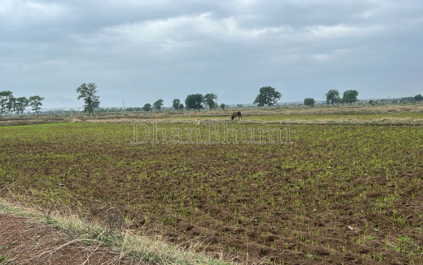 property_images/agricultural_in_tonk_1786949472_6a82af601dd24.png