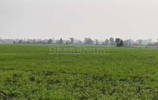 property_images/agricultural_in_tonk_1787222257_6a86d8f1a8004.png