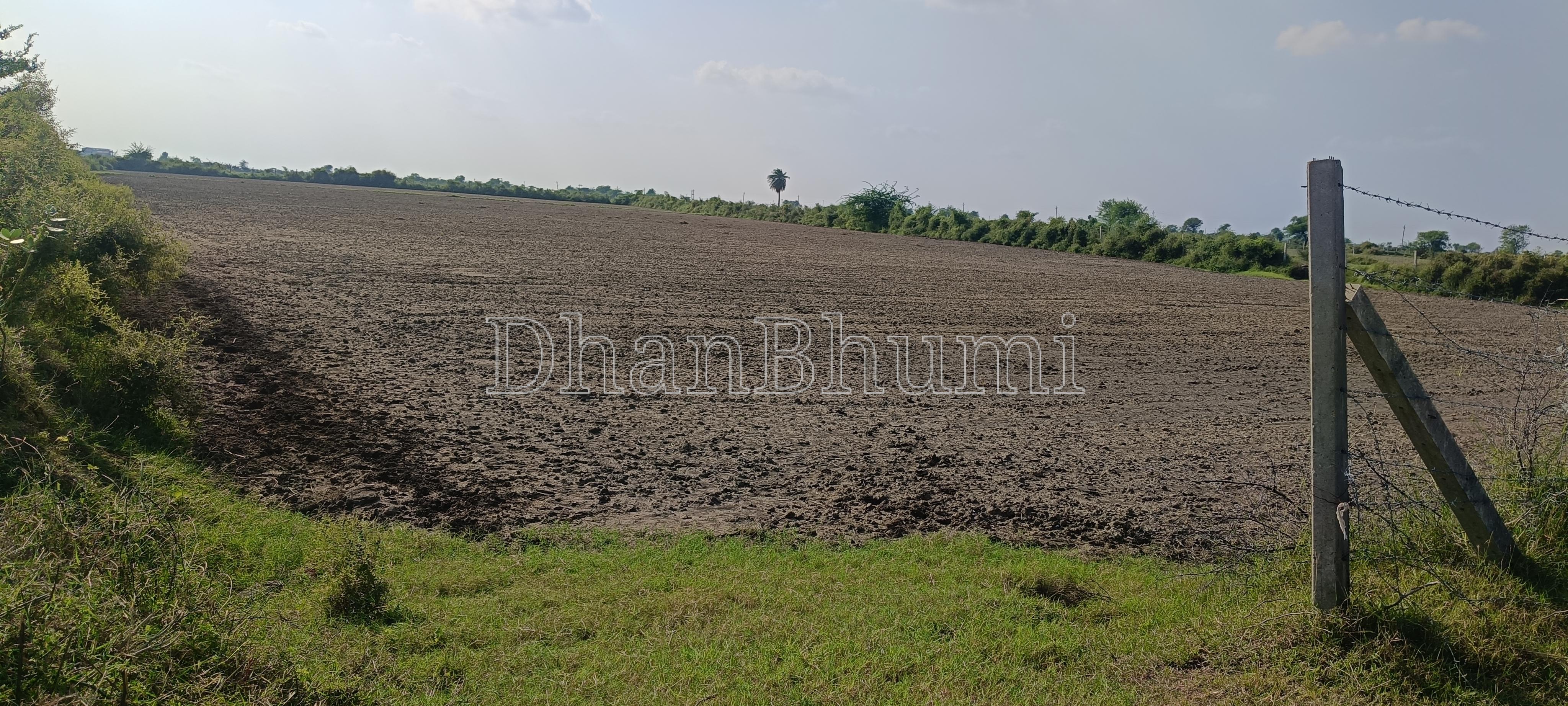 property_images/agricultural_in_tonk_1792580366_6ad89b0e1c696.jpg