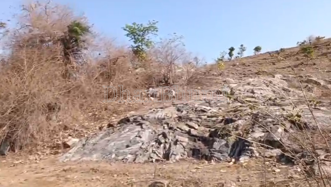 property_images/agricultural_in_udaipur_1786617884_6a7da01c9ff92.png