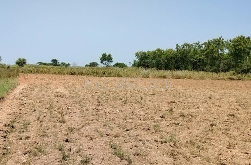 property_images/agricultural_in_udaipur_rajasthan_1788764263_6a9e606739071.png
