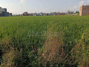 property_images/agricultural_in_udham_singh_nagar_1788335271_6a97d4a7d3f10.png