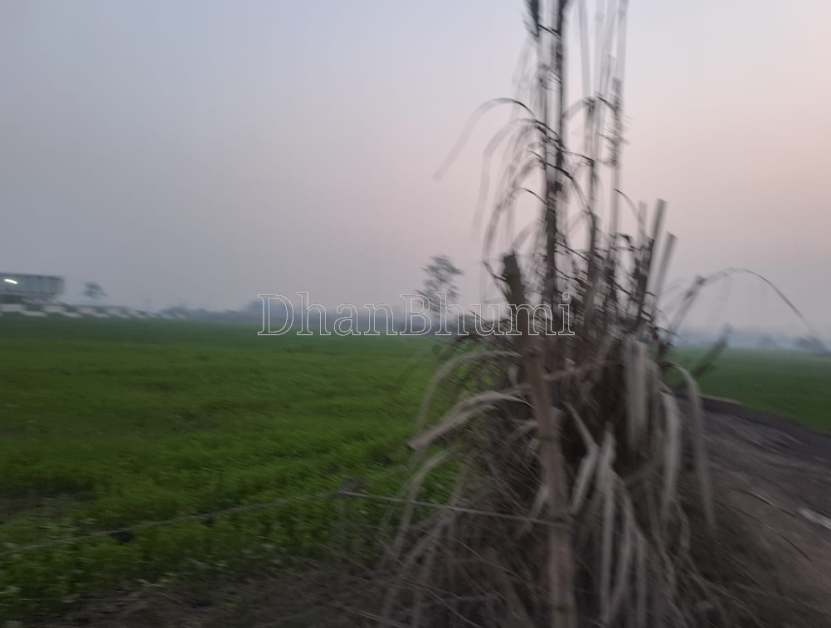 property_images/agricultural_in_udham_singh_nagar_1791891029_6ace16552511b.PNG
