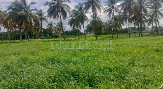 property_images/agricultural_in_udupi_1785923969_6a7309812c5cb.png