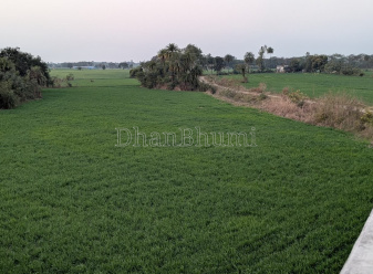 property_images/agricultural_in_ujjain_1782543950_6a3f764e69f80.PNG